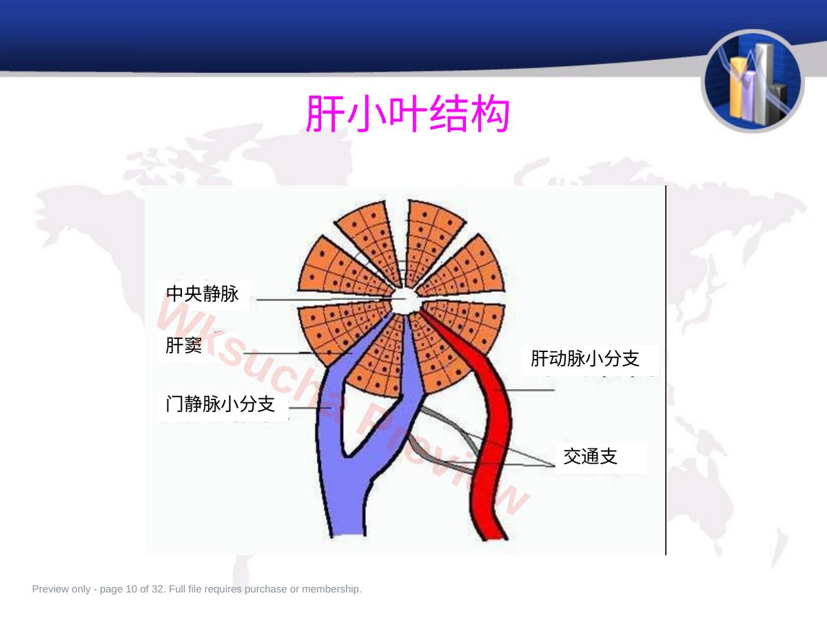 预览第 10 页