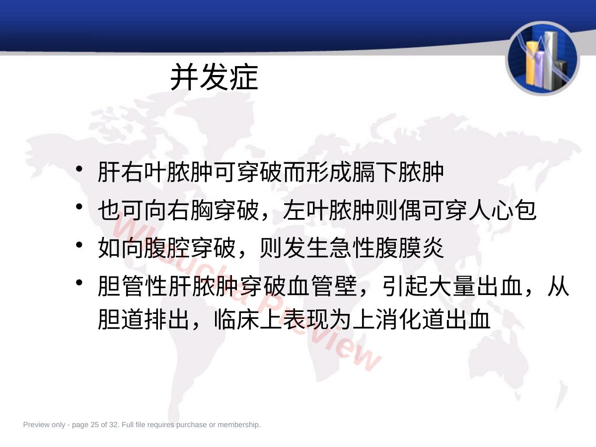 预览第 25 页