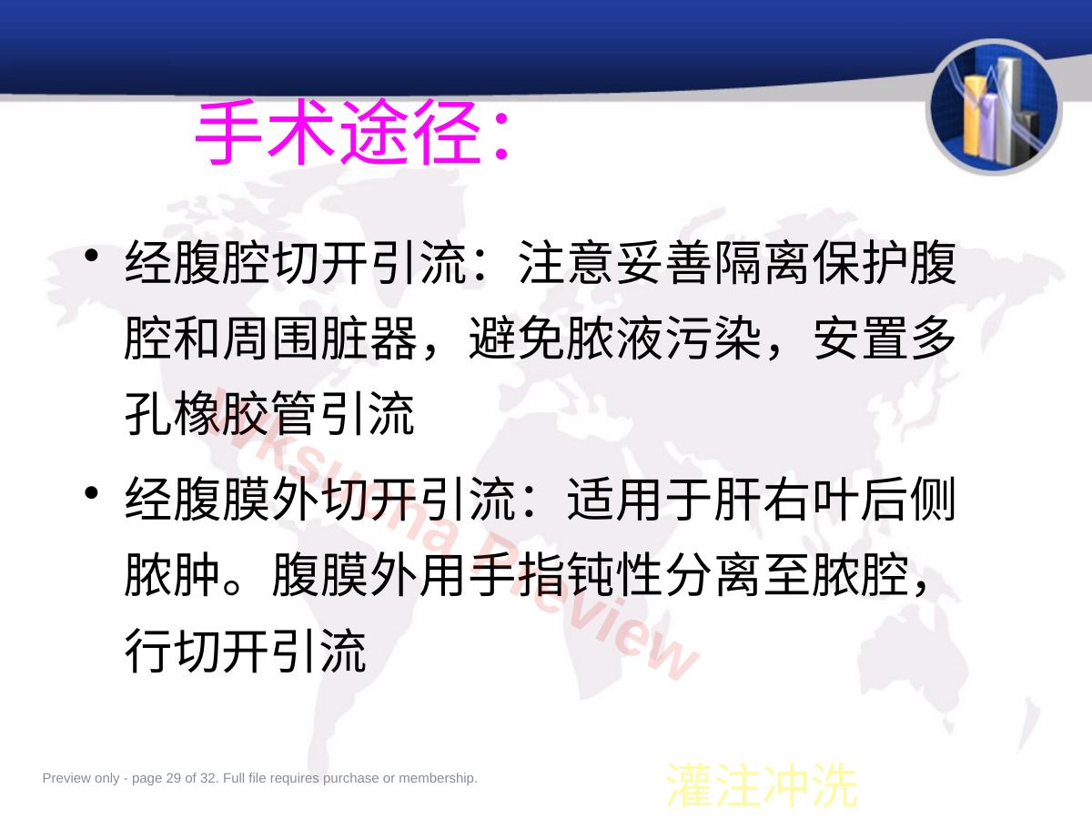 预览第 29 页