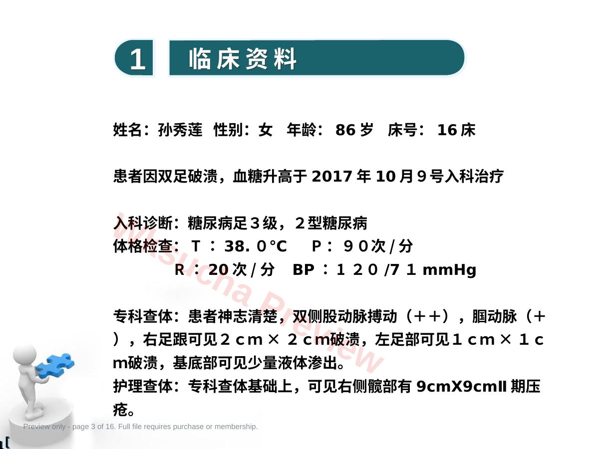 预览第 3 页