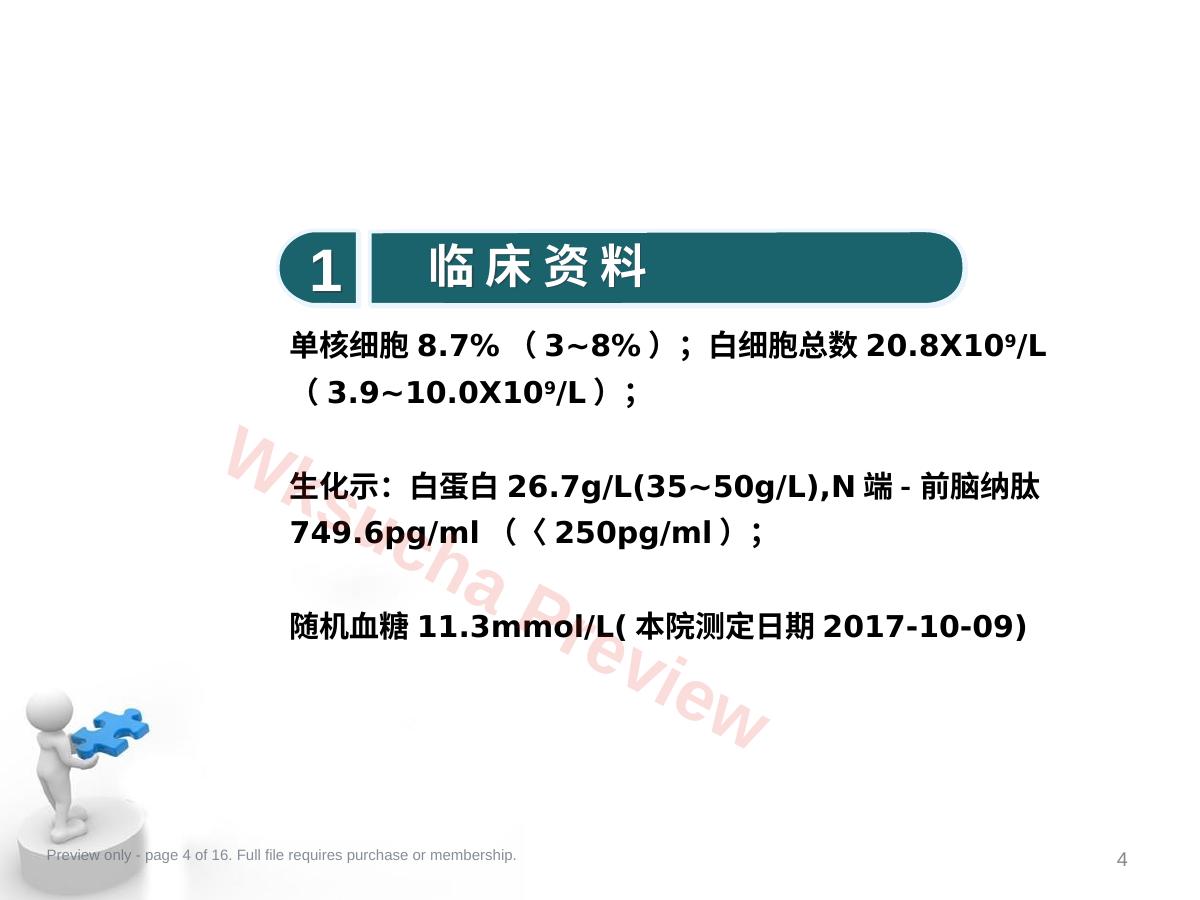 预览第 4 页