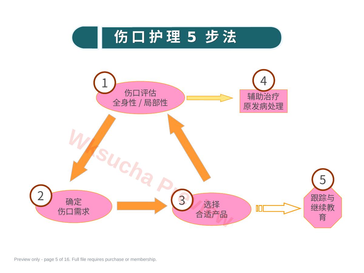预览第 5 页