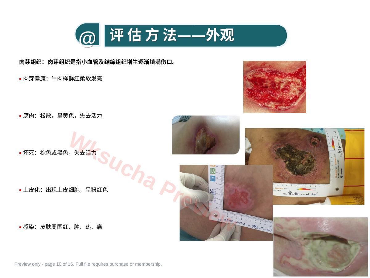 预览第 10 页