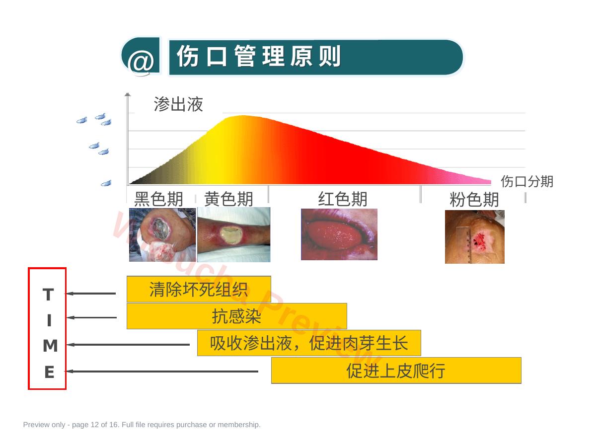 预览第 12 页