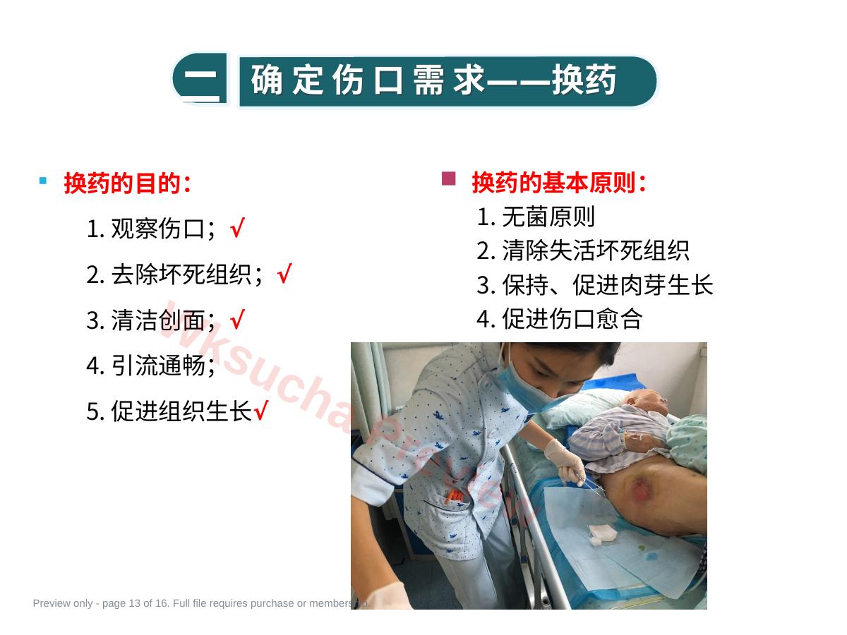 预览第 13 页