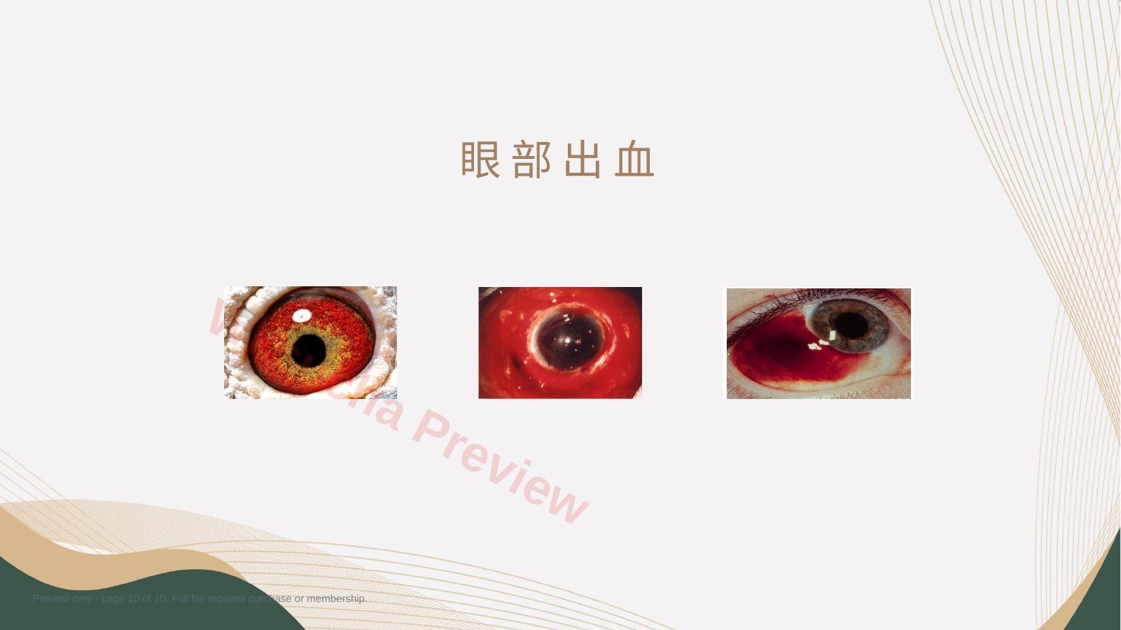 预览第 10 页