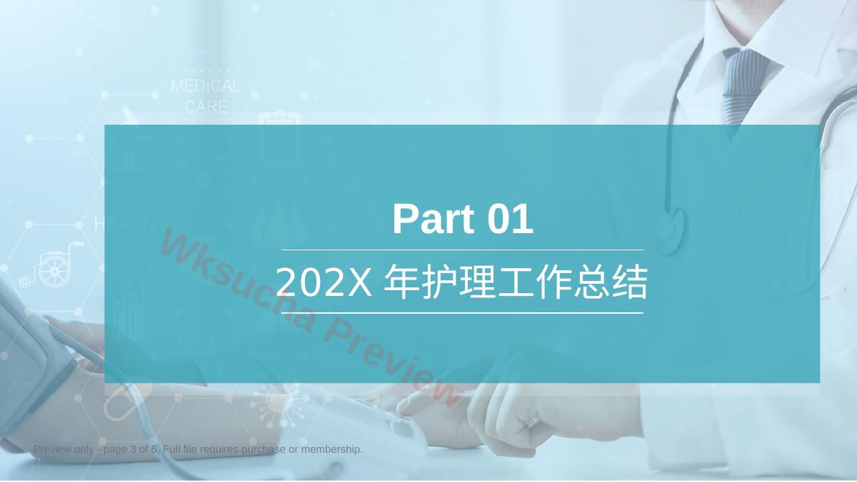 预览第 3 页