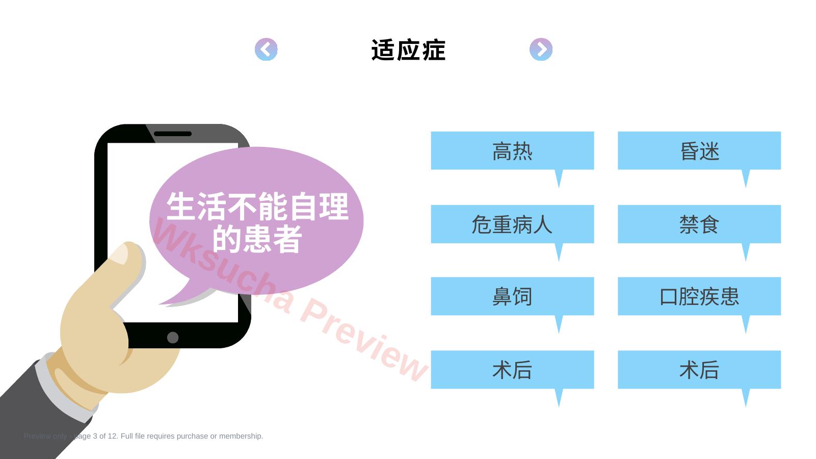 预览第 3 页