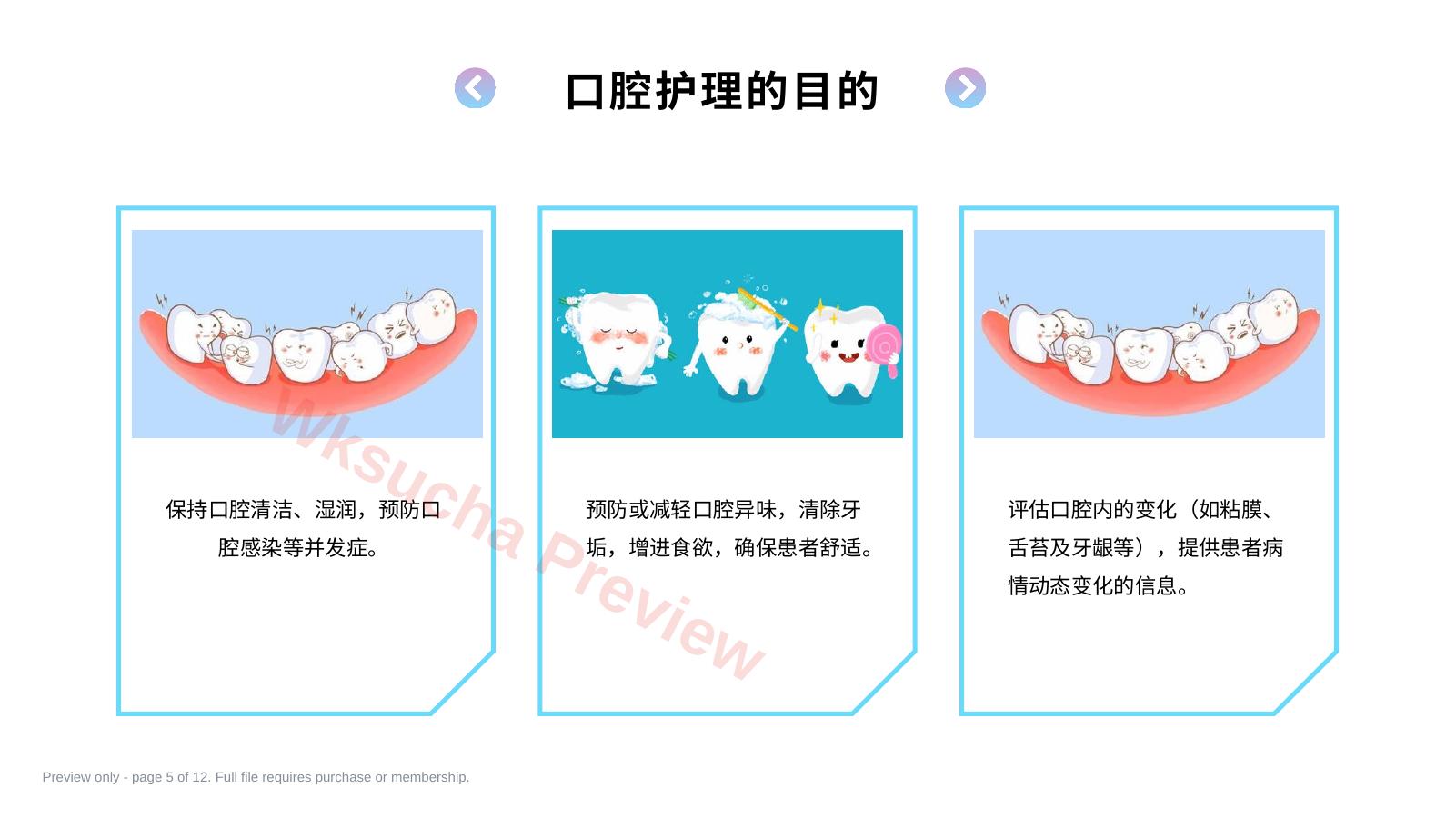 预览第 5 页
