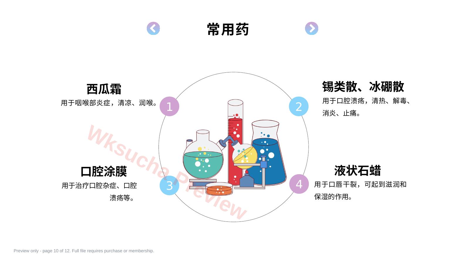 预览第 10 页