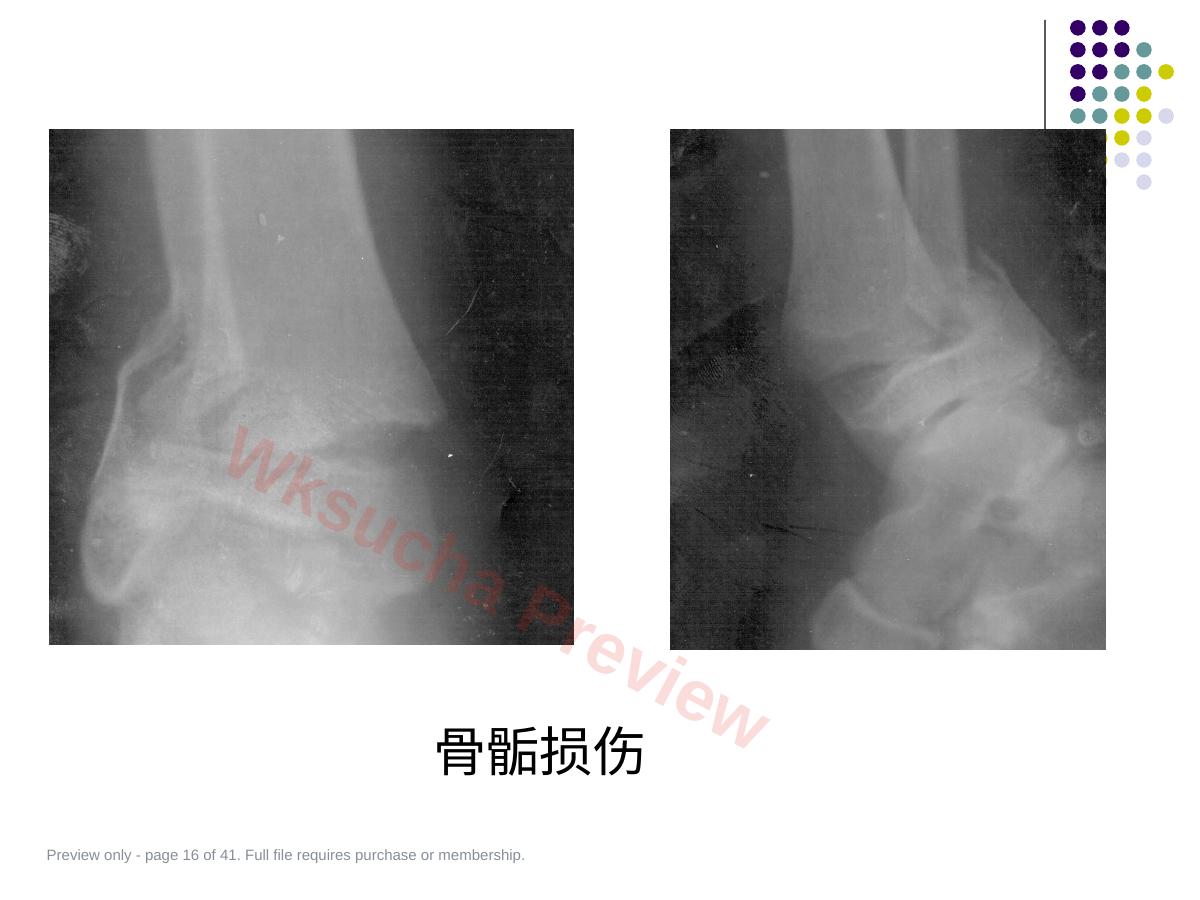 预览第 16 页
