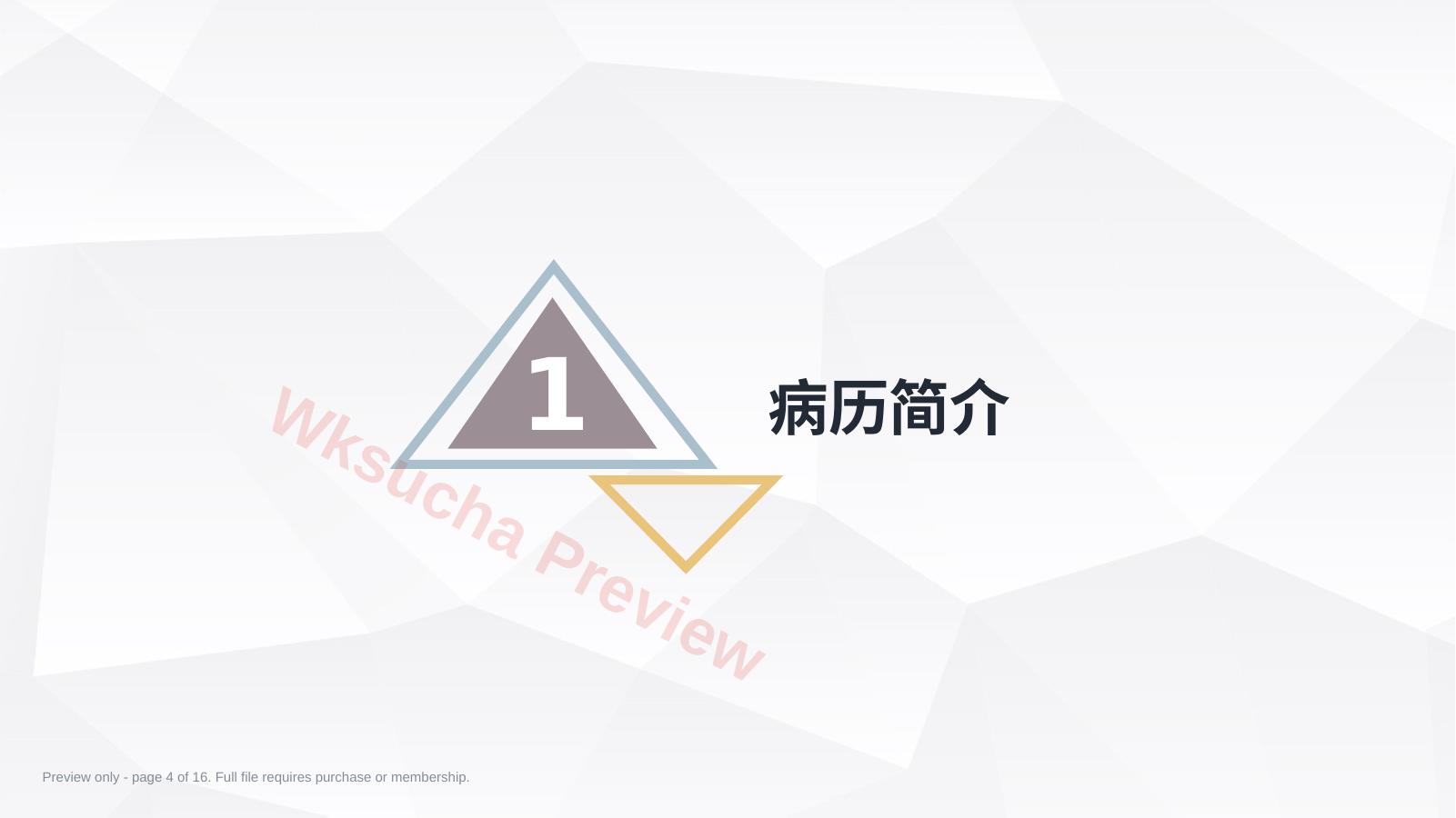 预览第 4 页