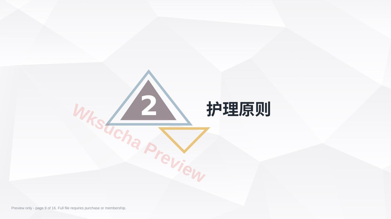 预览第 9 页