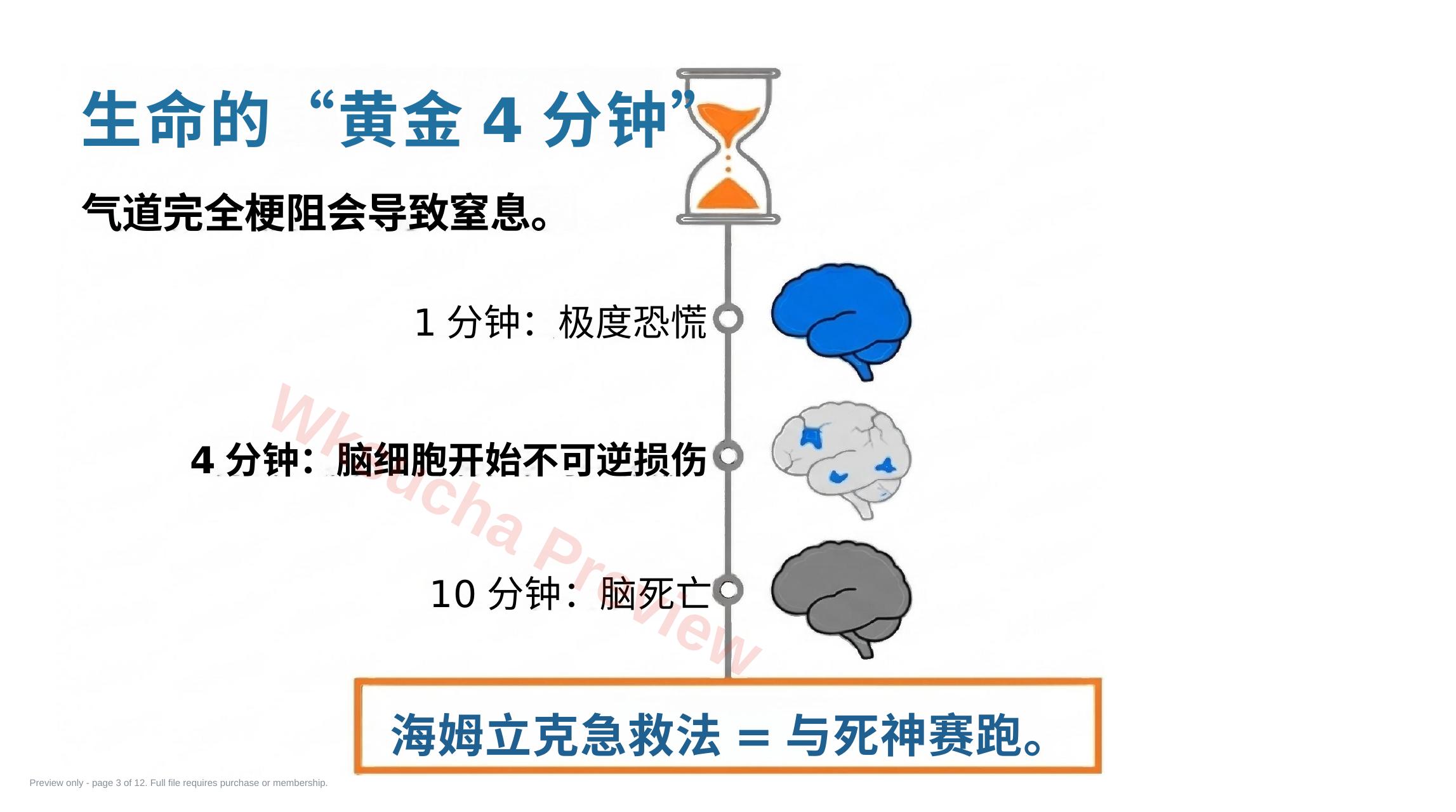预览第 3 页