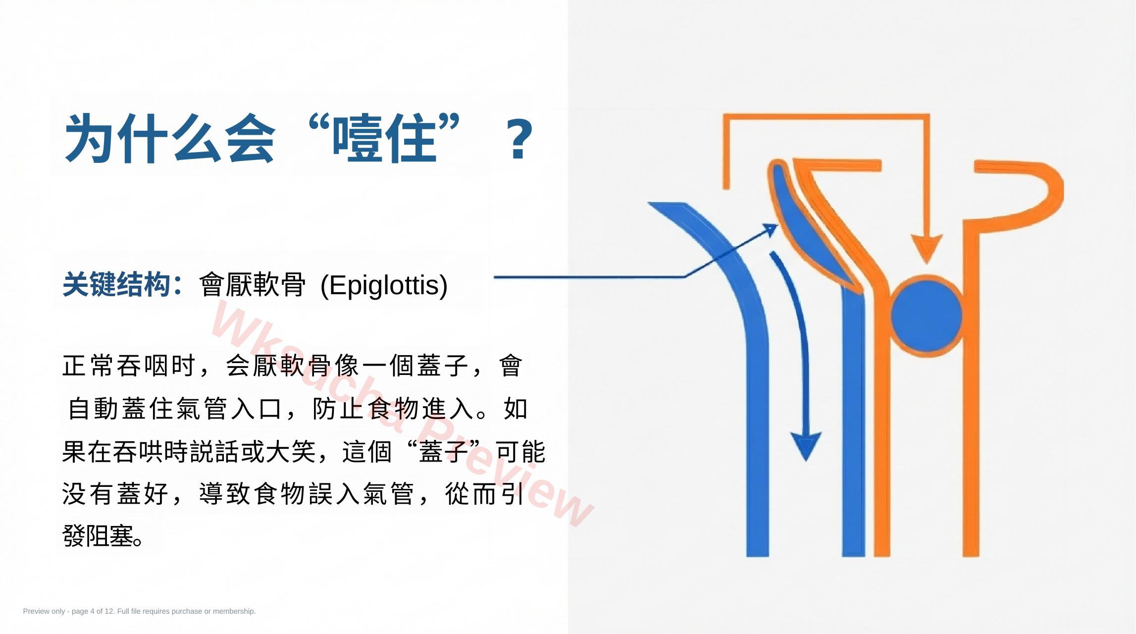 预览第 4 页