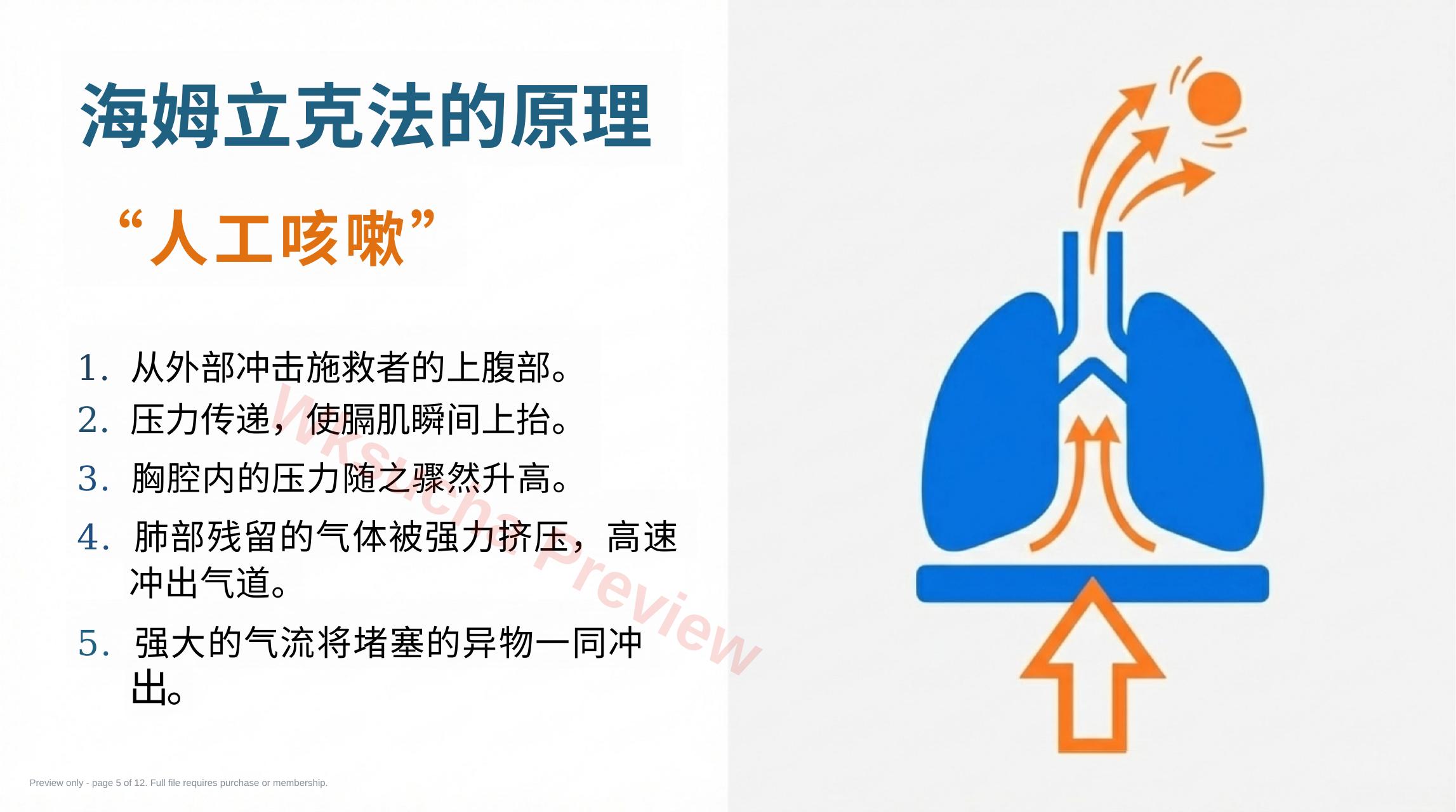 预览第 5 页