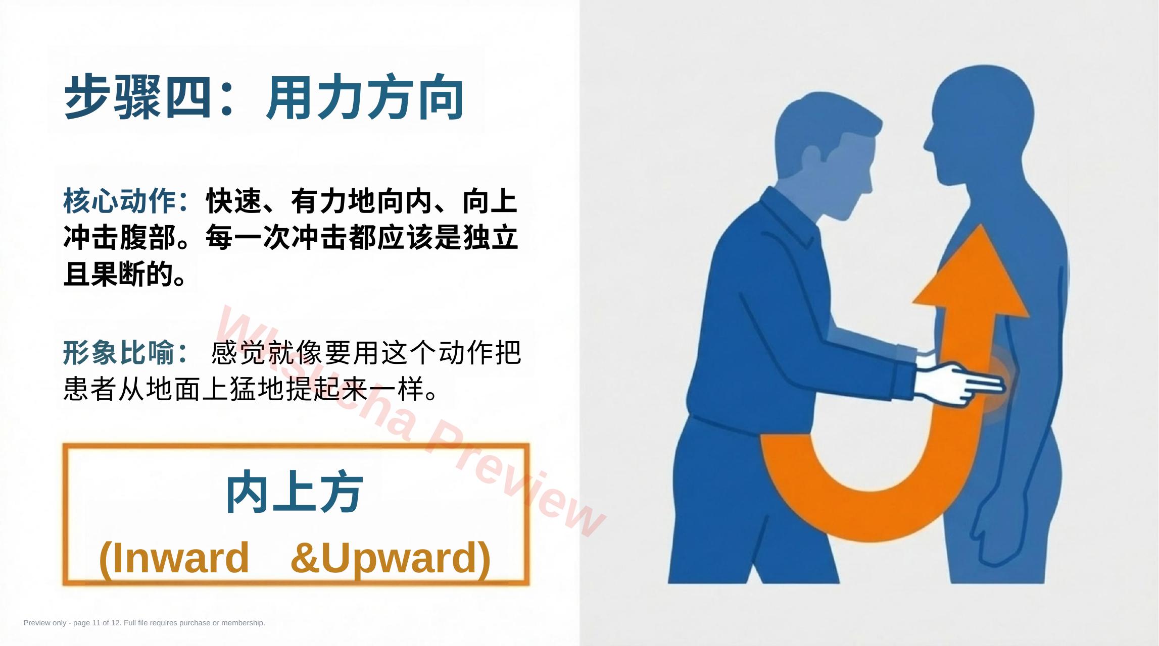 预览第 11 页