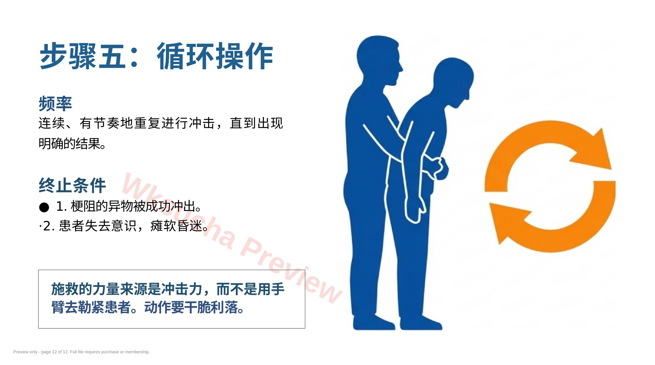 预览第 12 页
