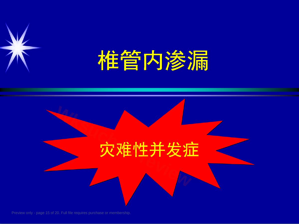 预览第 15 页