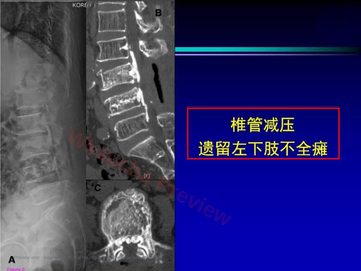 预览第 20 页