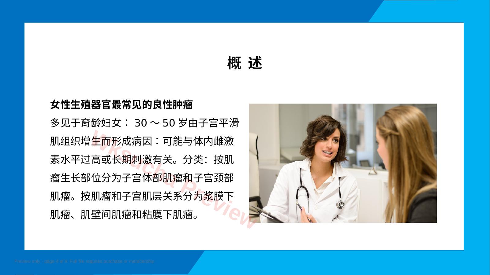 预览第 4 页