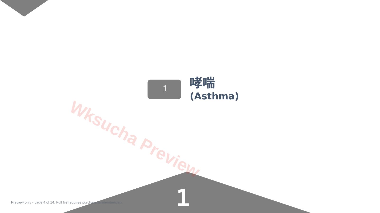 预览第 4 页