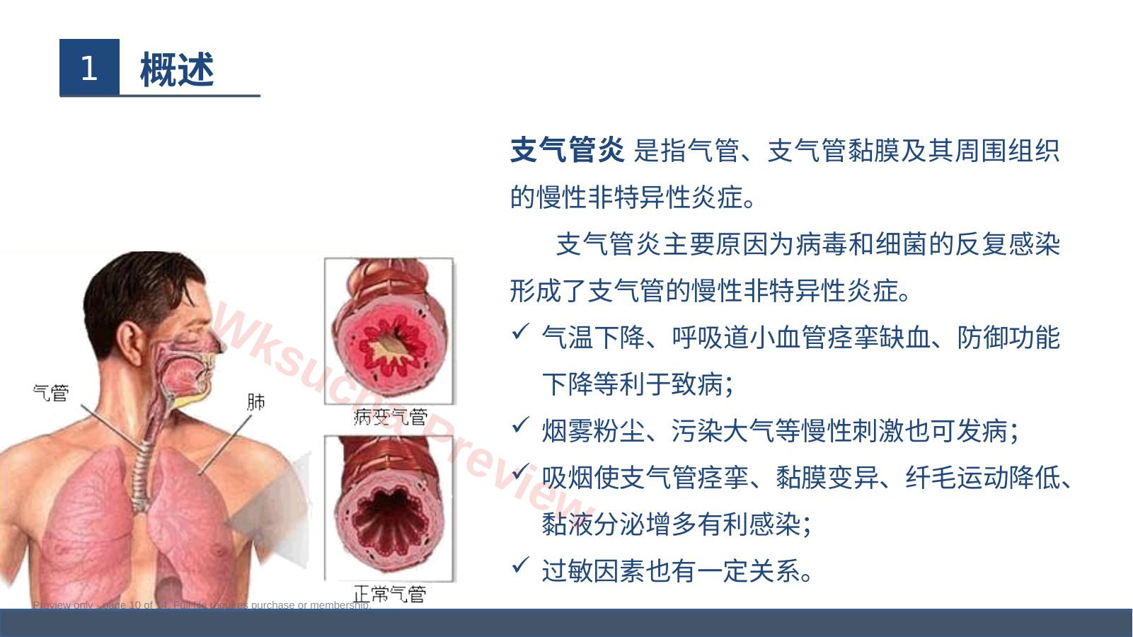 预览第 10 页