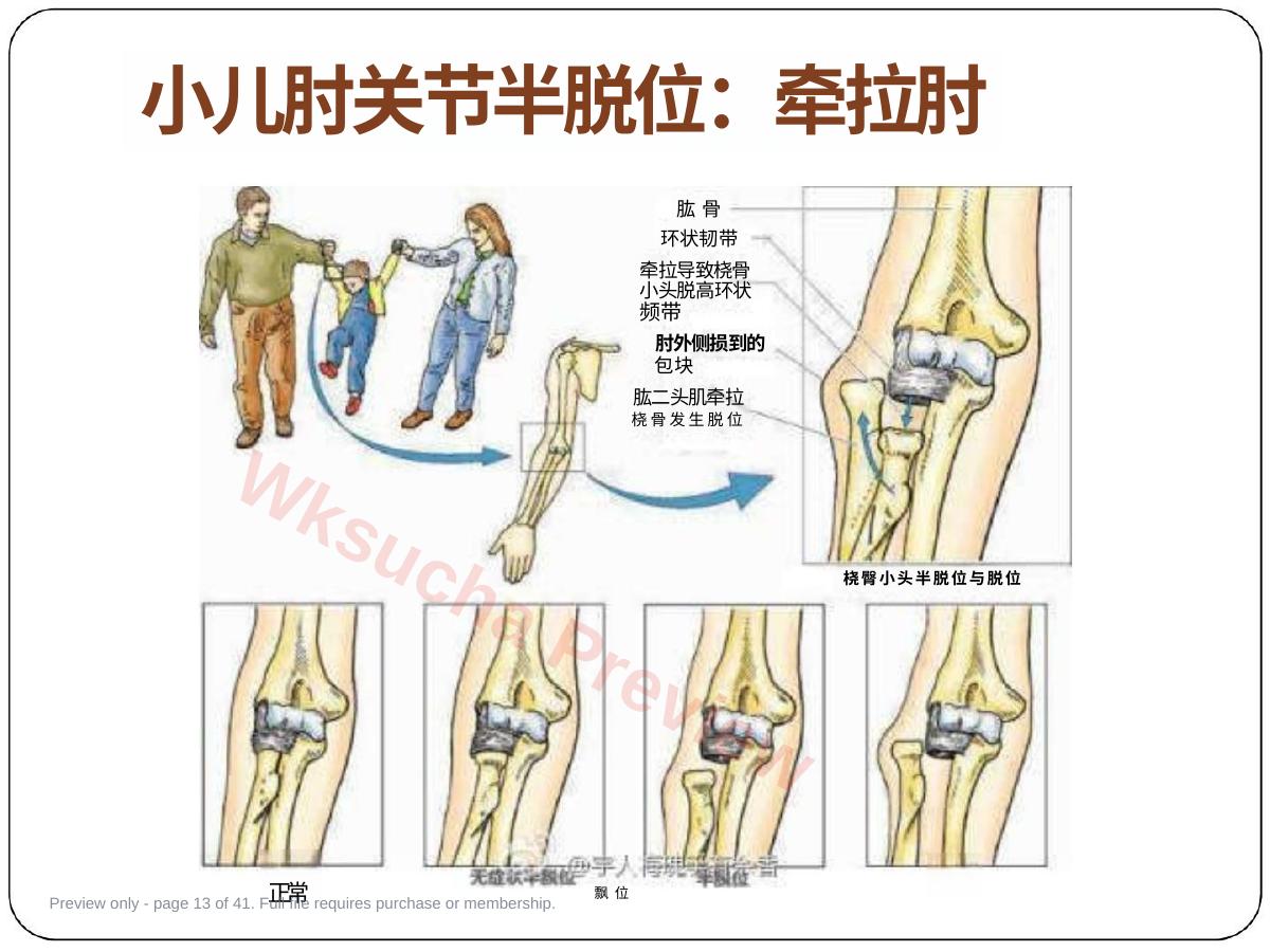 预览第 13 页