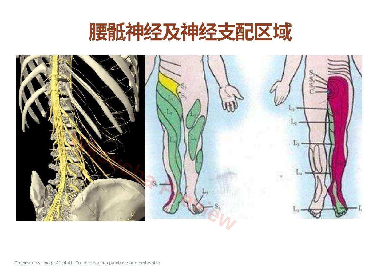 预览第 31 页