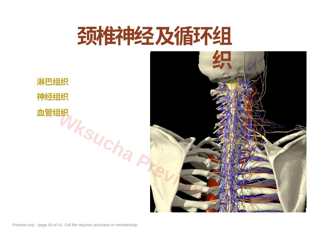 预览第 40 页