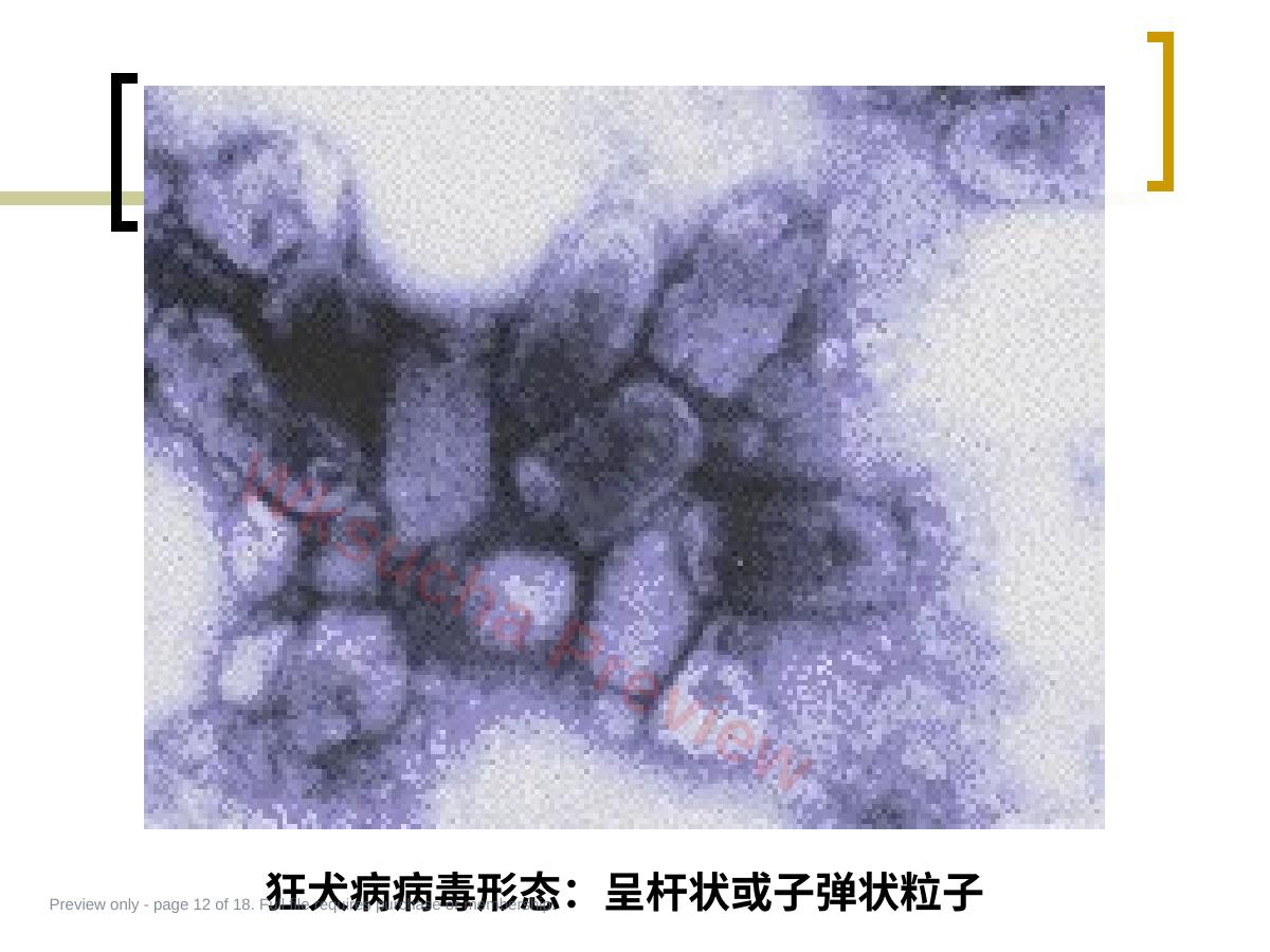 预览第 12 页