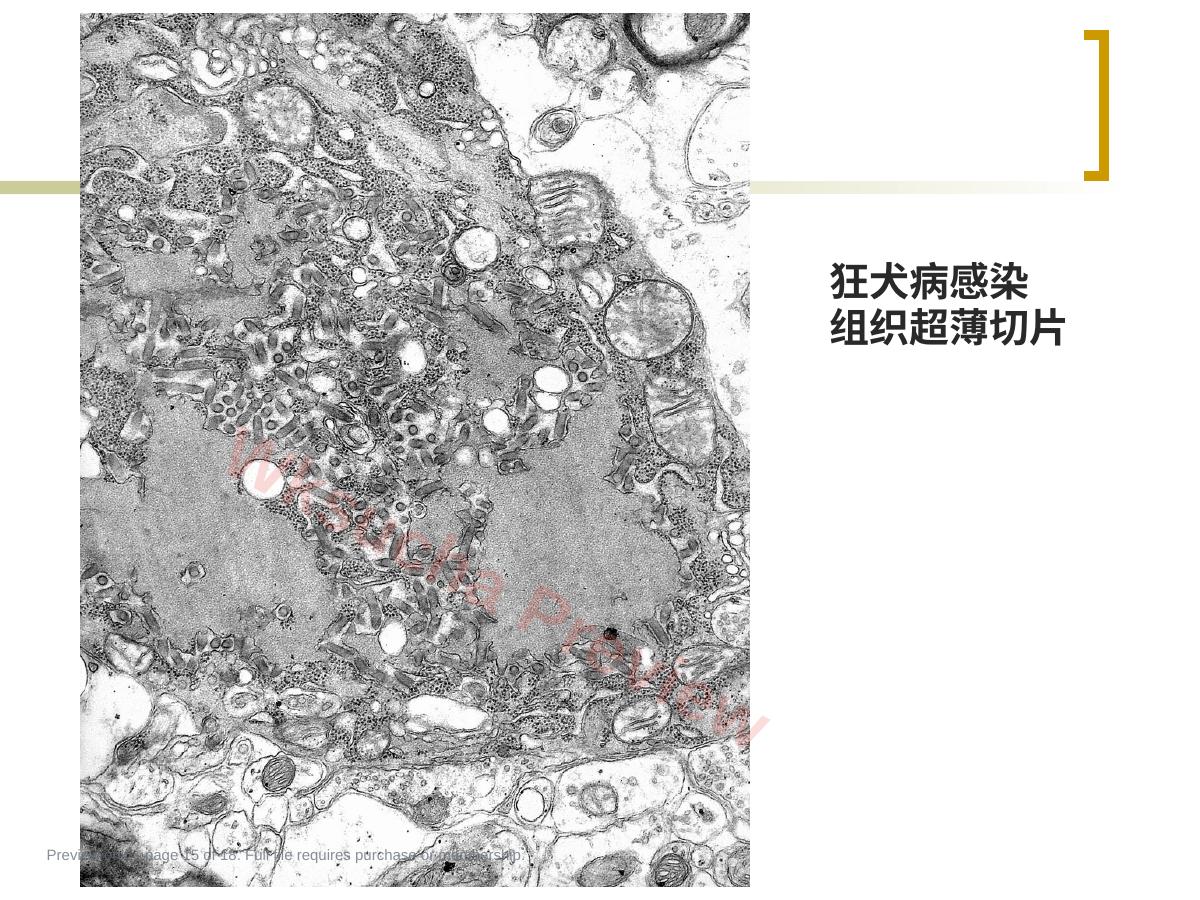 预览第 15 页