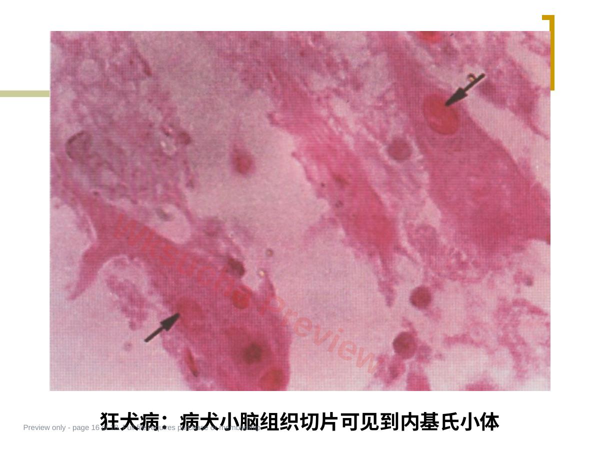 预览第 16 页