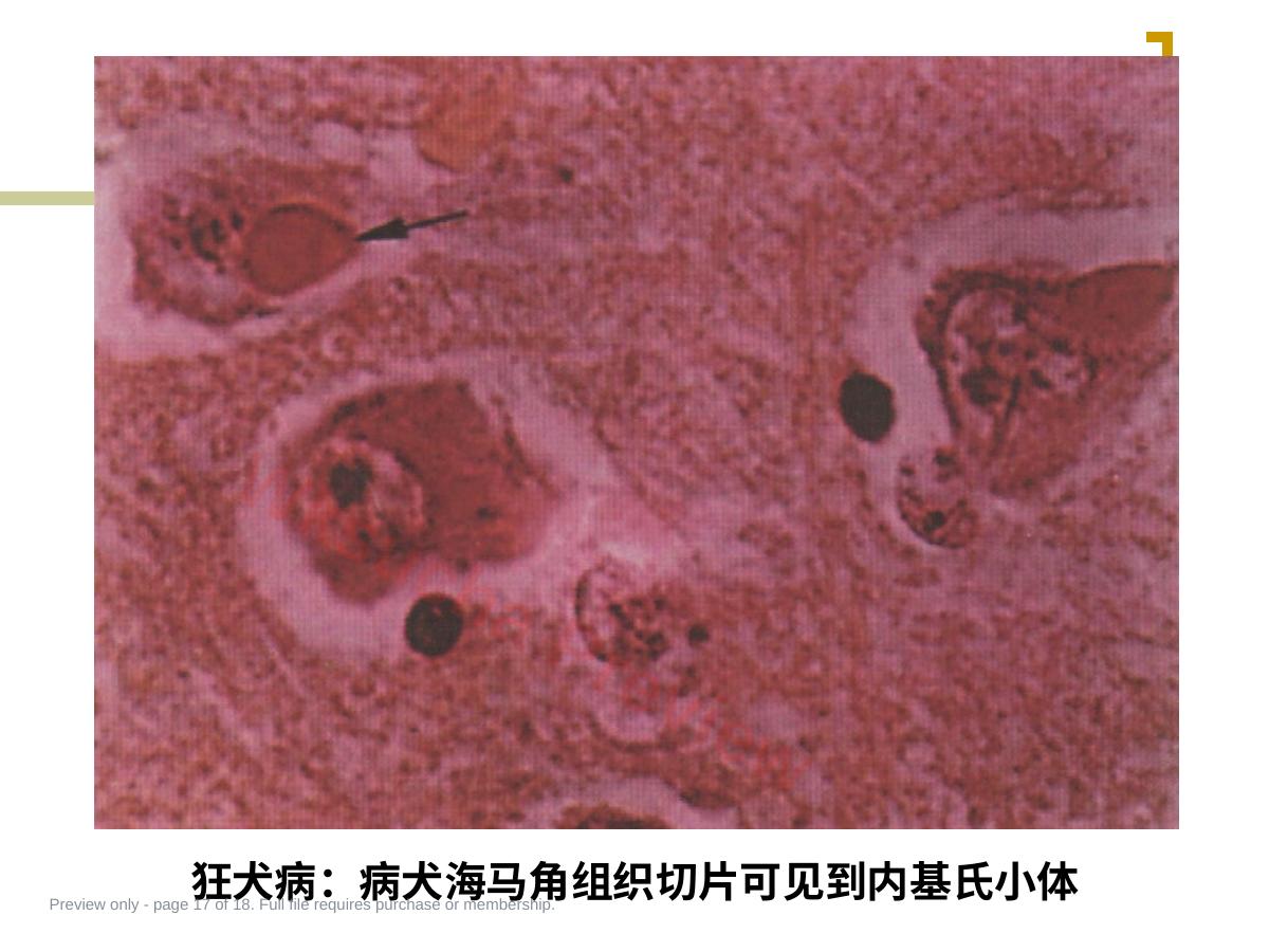预览第 17 页