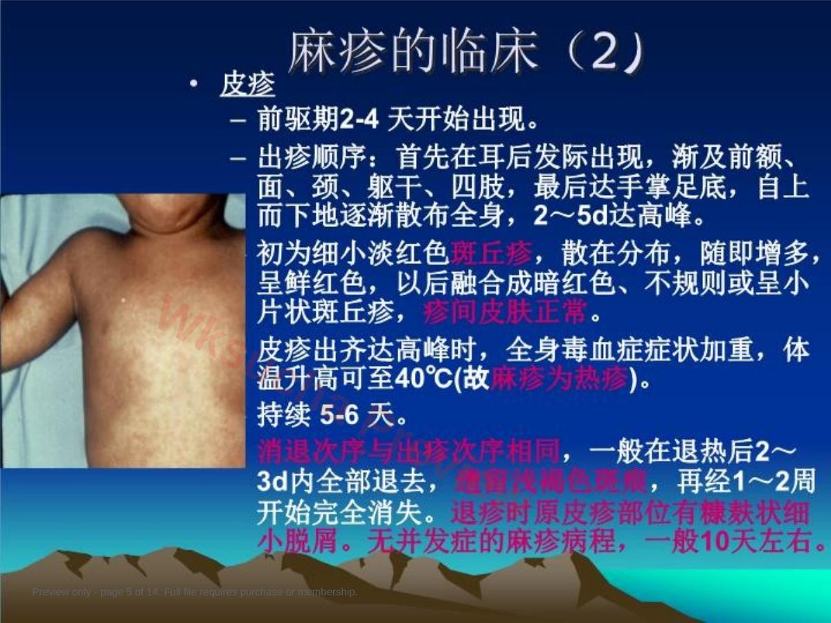 预览第 5 页