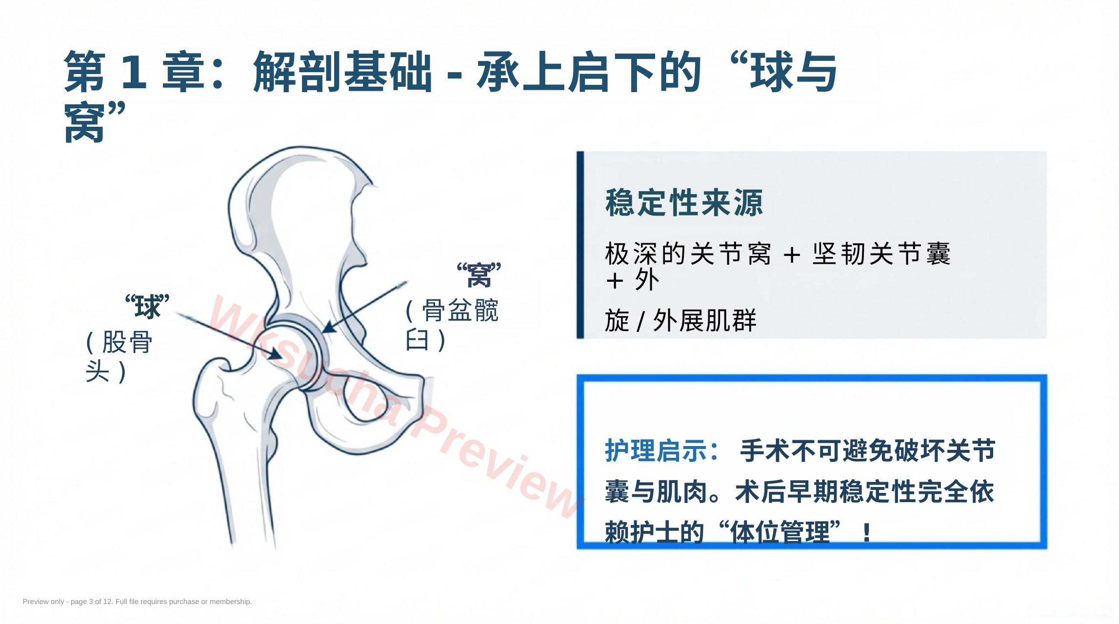 预览第 3 页