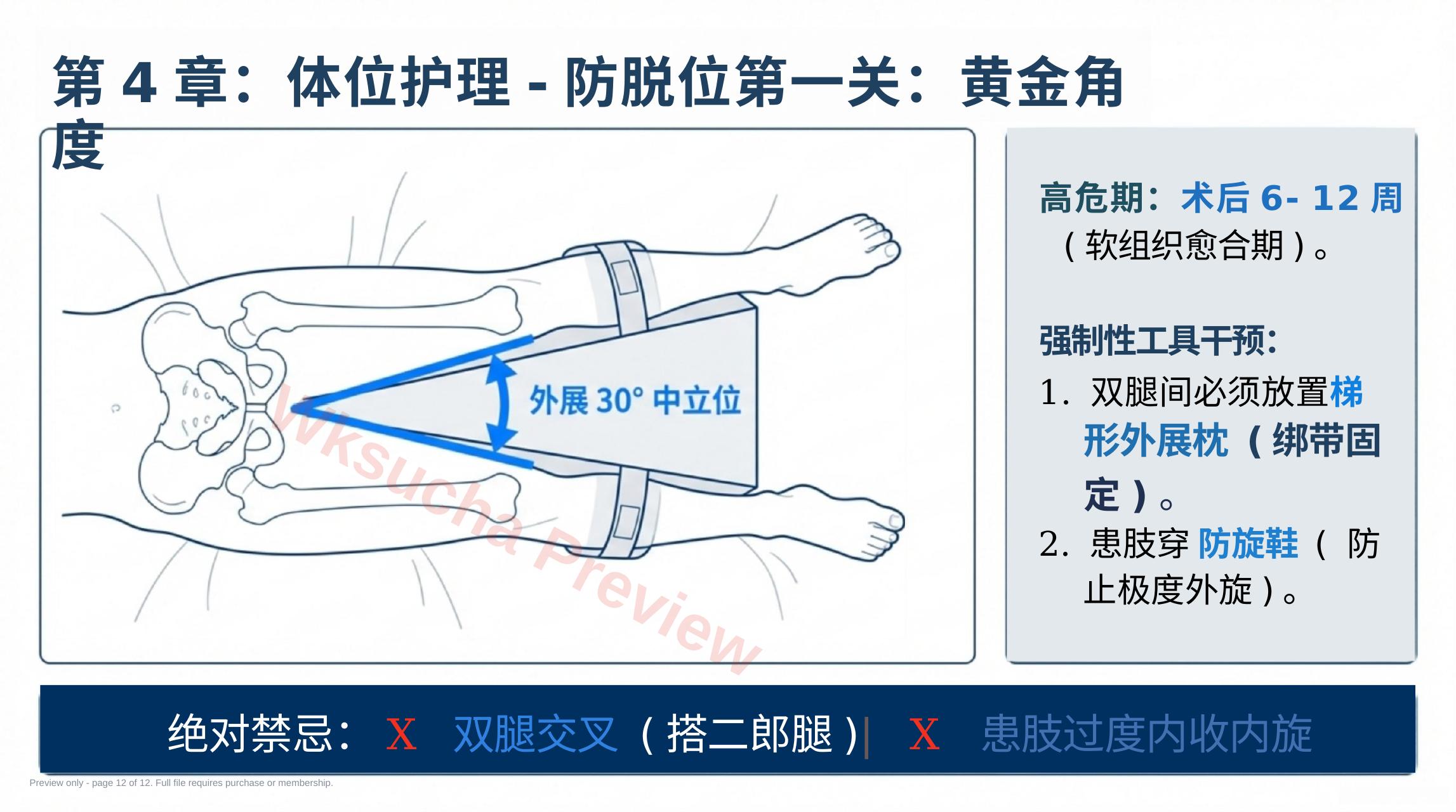 预览第 12 页