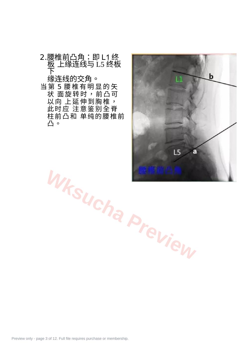 预览第 3 页