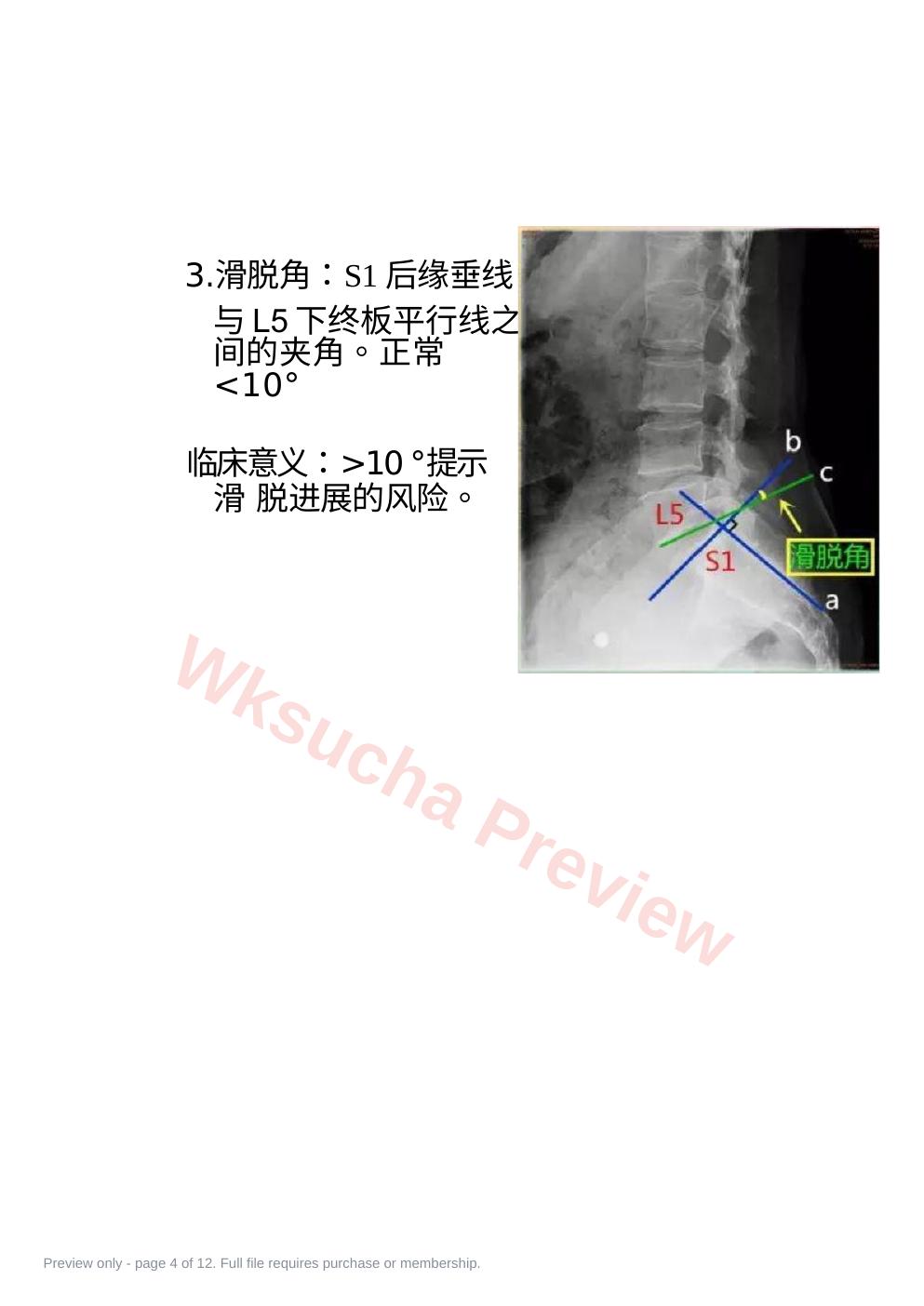 预览第 4 页