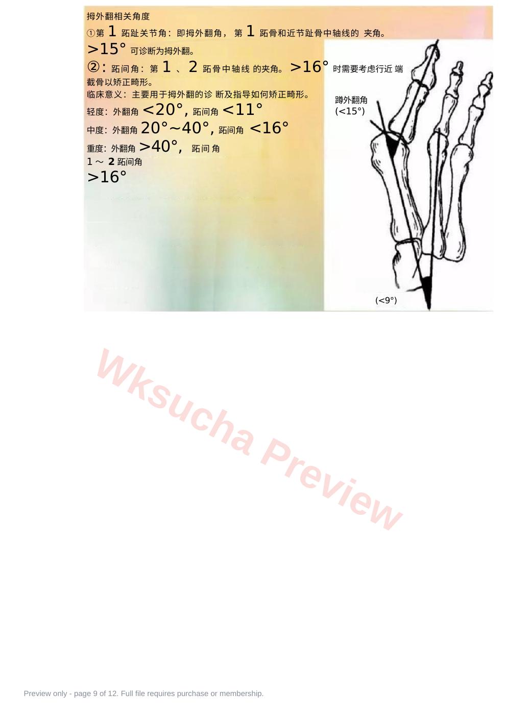 预览第 9 页