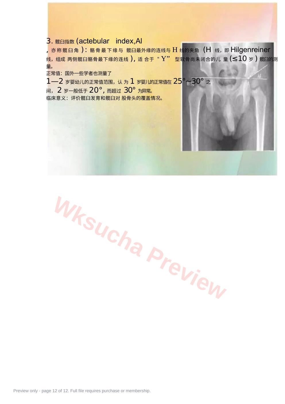 预览第 12 页
