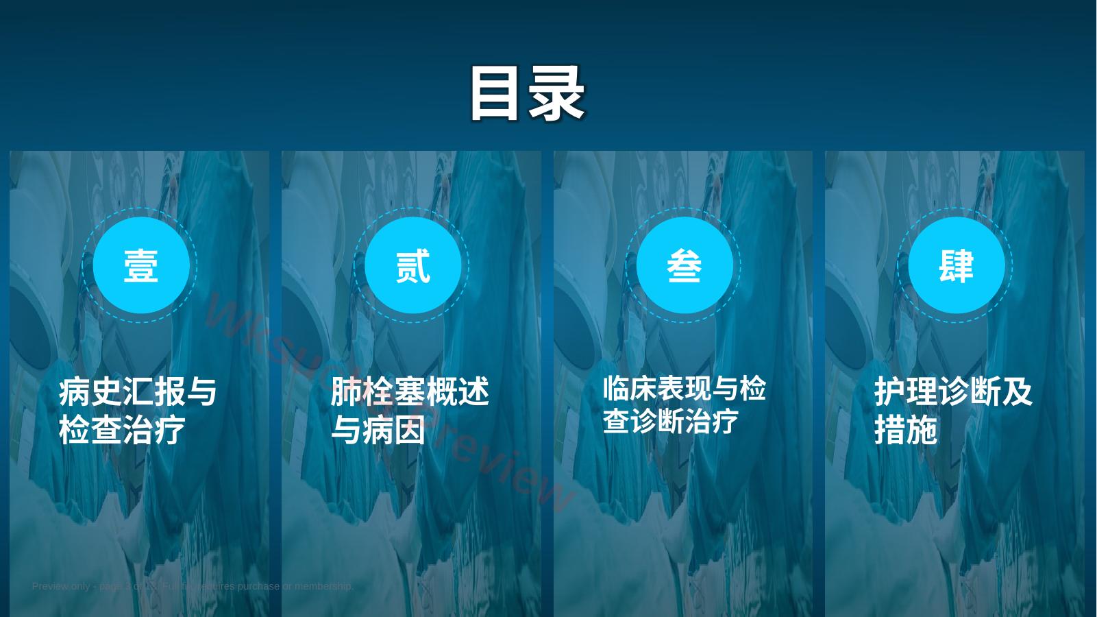 预览第 3 页