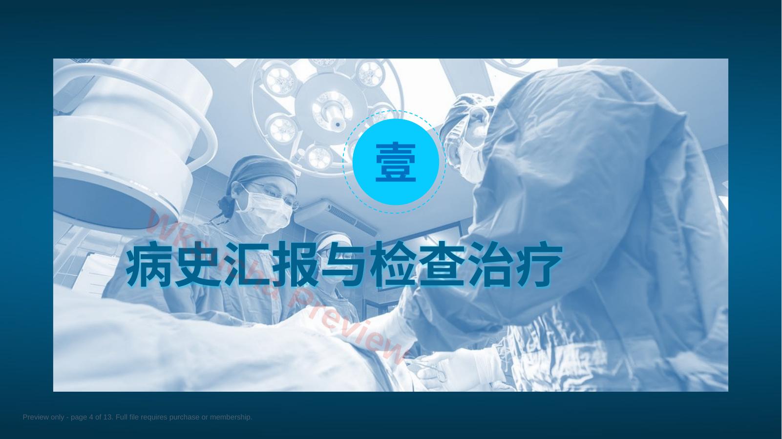 预览第 4 页