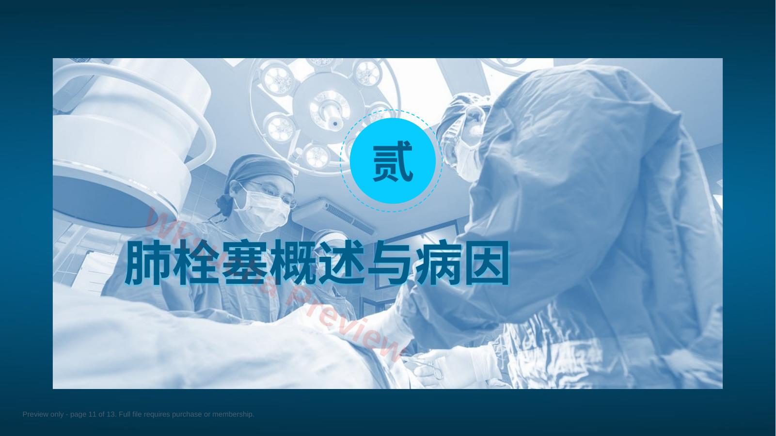预览第 11 页