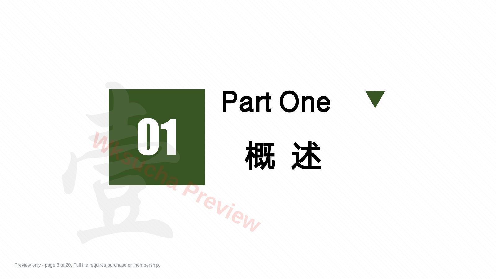 预览第 3 页