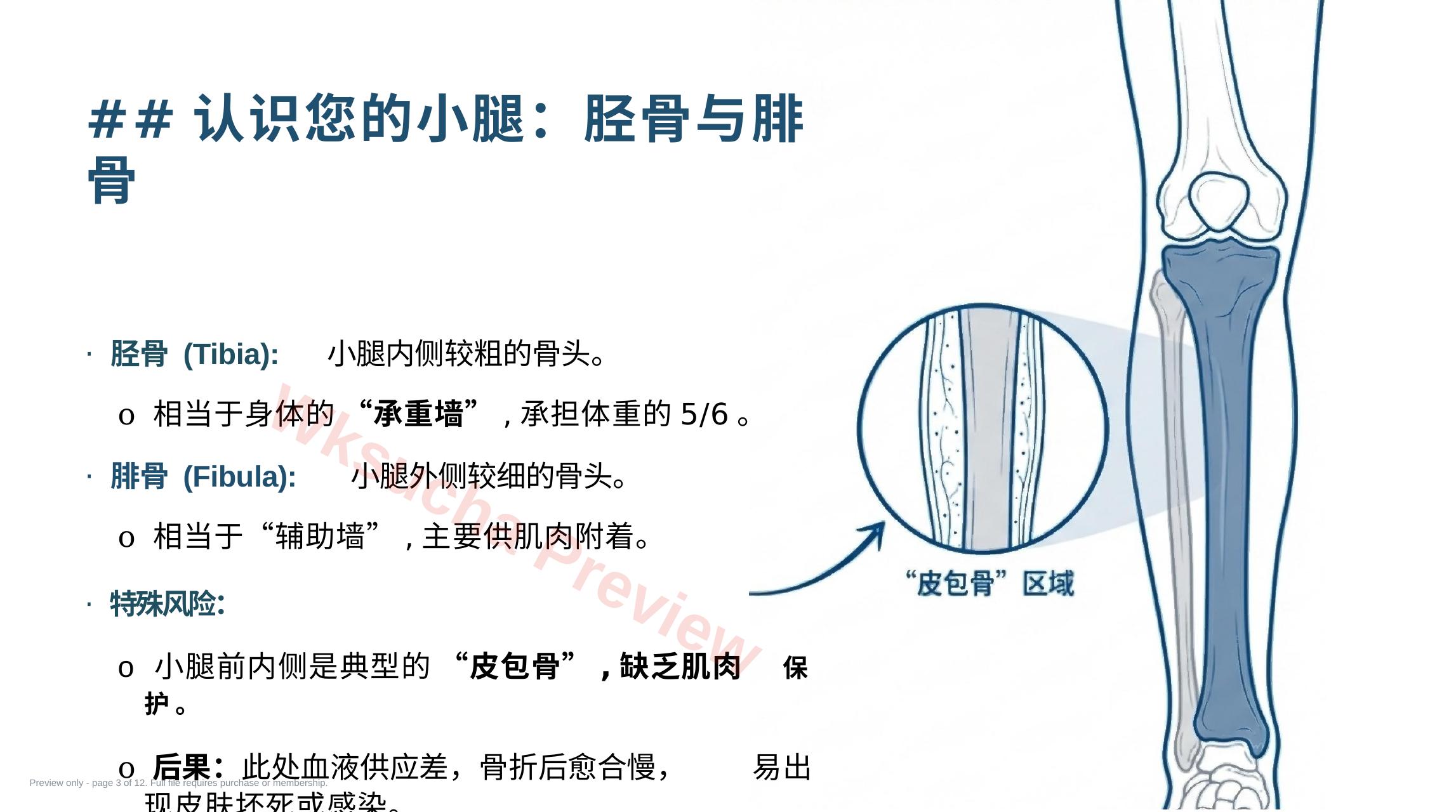 预览第 3 页