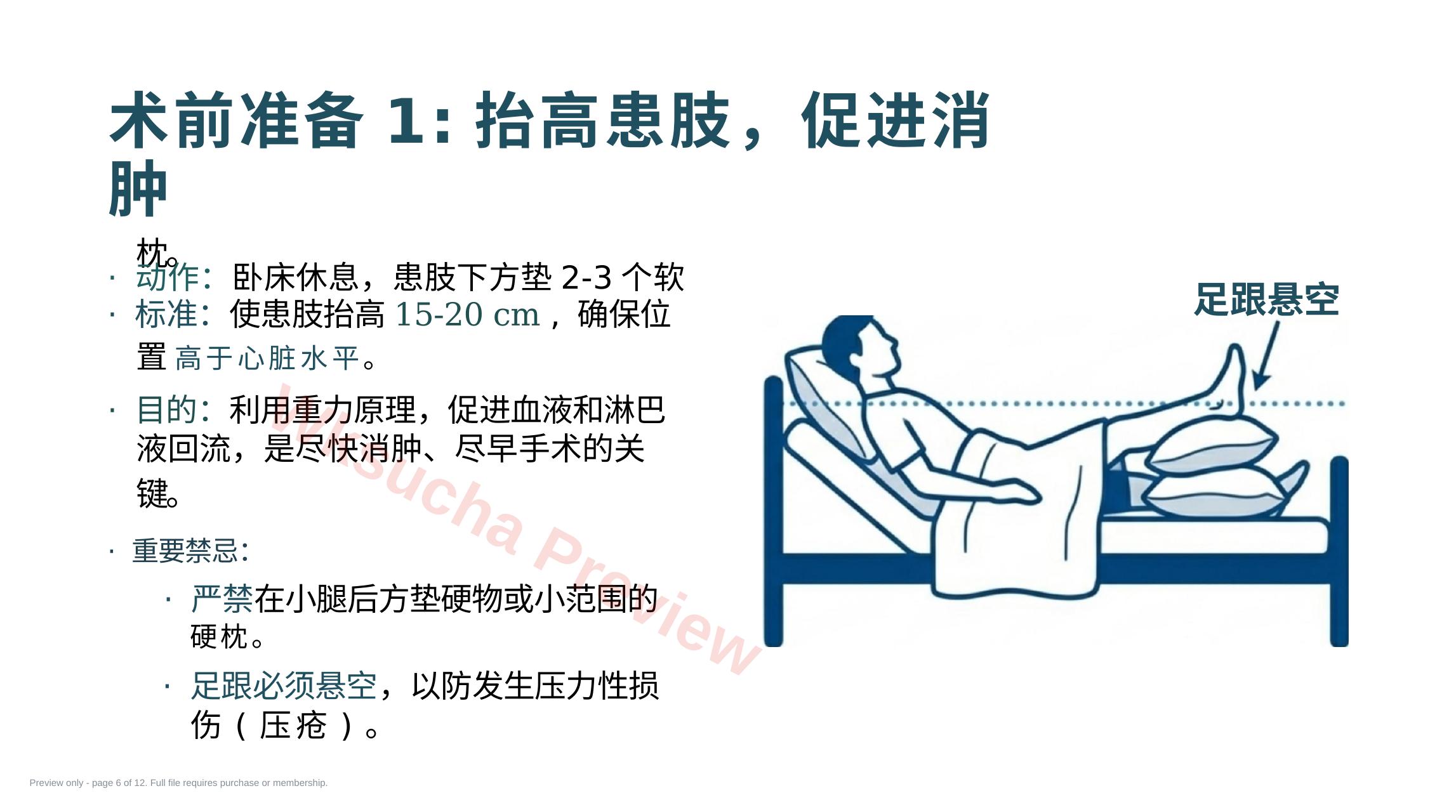 预览第 6 页