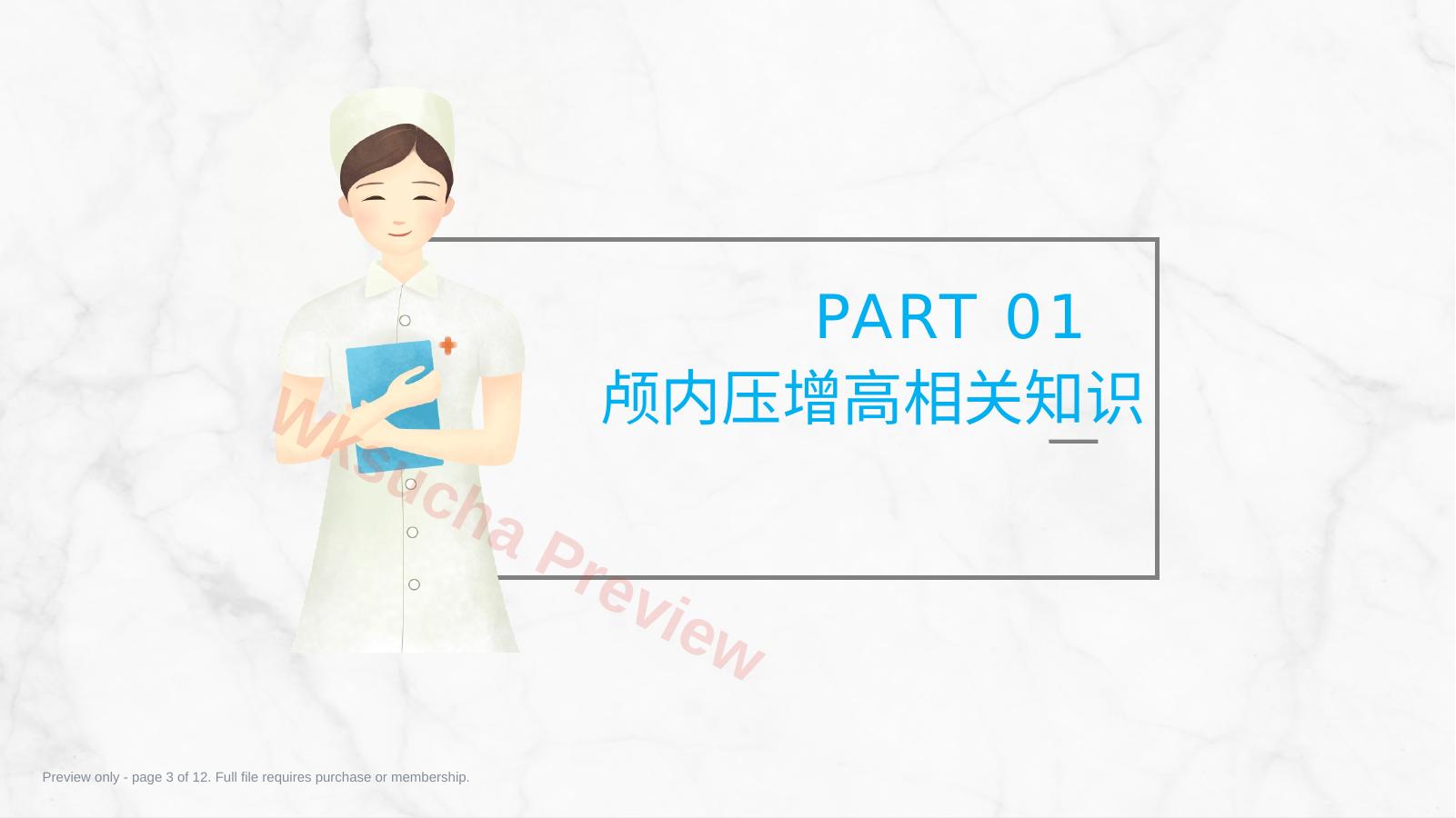 预览第 3 页