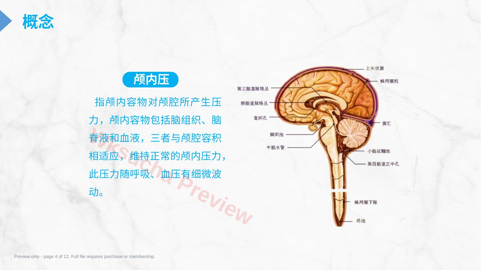 预览第 4 页