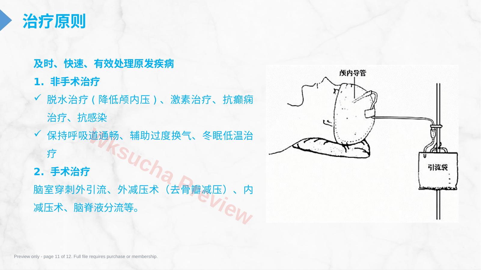 预览第 11 页